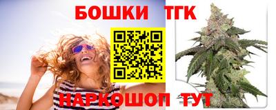 spice Гусев